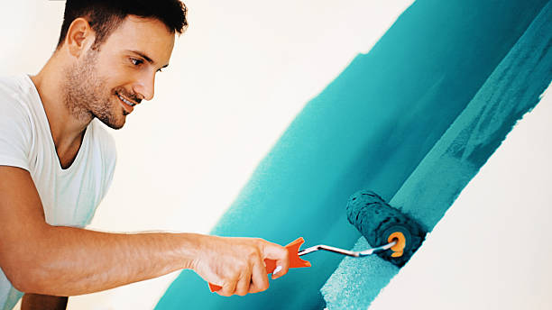 Best Drywall Patching  in USA